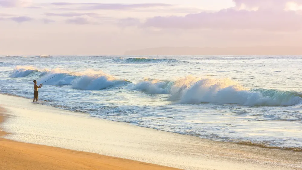 hawaii beach